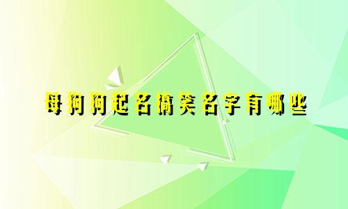 母狗狗起名搞笑名字有哪些