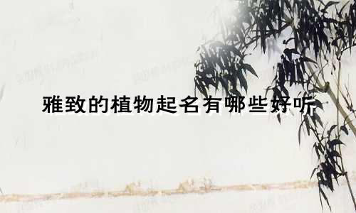 雅致的植物起名有哪些好听