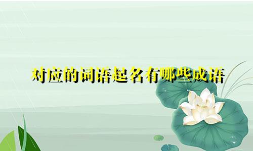 对应的词语起名有哪些成语