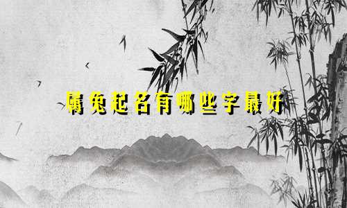 属兔起名有哪些字最好