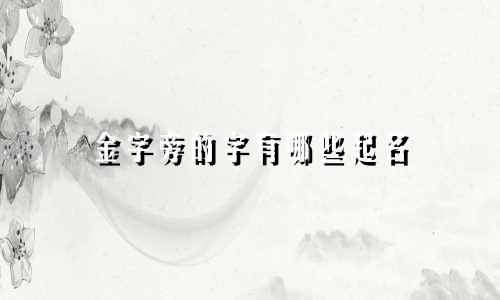 金字旁的字有哪些起名