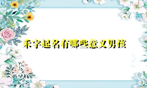 禾字起名有哪些意义男孩