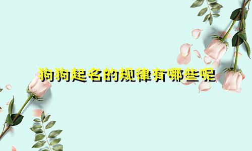 狗狗起名的规律有哪些呢