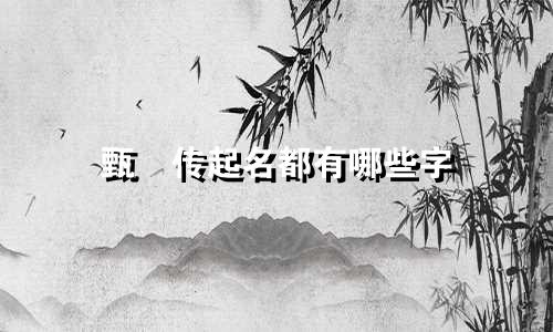 甄嬛传起名都有哪些字