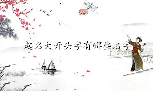 起名大开头字有哪些名字