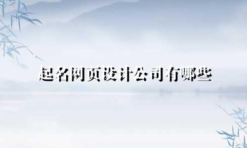 起名网页设计公司有哪些
