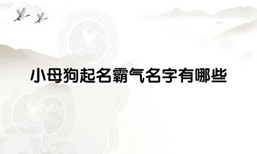 小母狗起名霸气名字有哪些