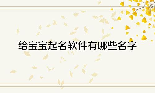给宝宝起名软件有哪些名字