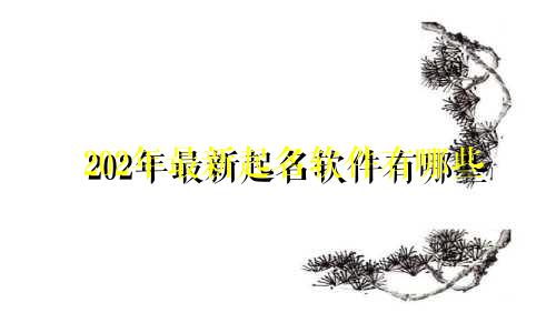 202年最新起名软件有哪些
