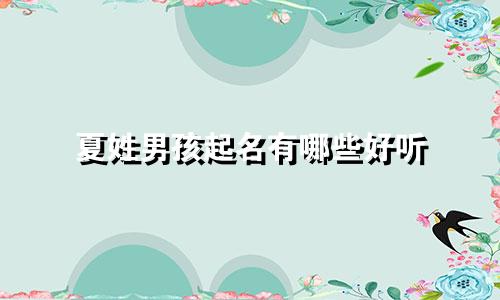 夏姓男孩起名有哪些好听