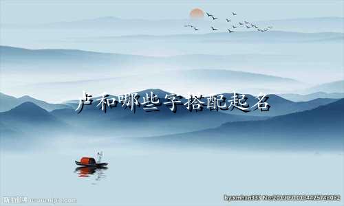 卢和哪些字搭配起名