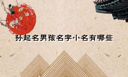 孙起名男孩名字小名有哪些