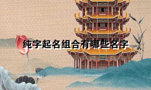 纯字起名组合有哪些名字