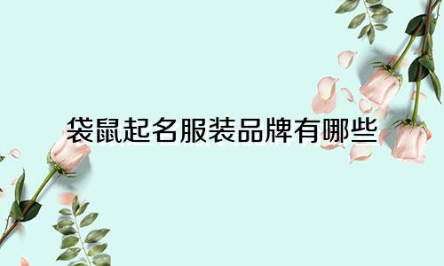 袋鼠起名服装品牌有哪些