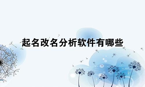 起名改名分析软件有哪些