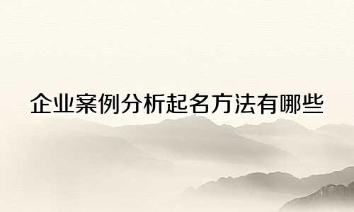 企业案例分析起名方法有哪些
