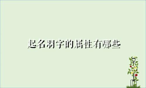 起名羽字的属性有哪些