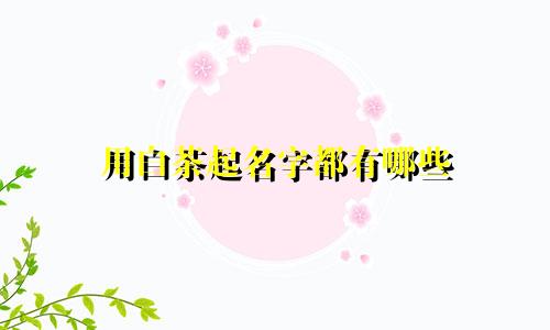 用白茶起名字都有哪些