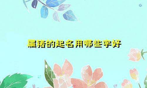 属猪的起名用哪些字好