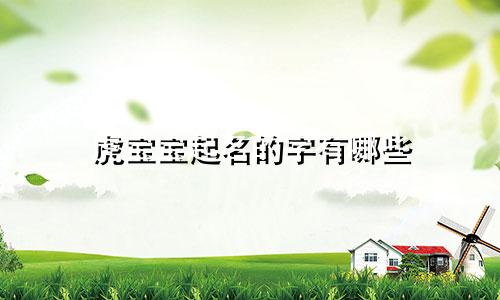 虎宝宝起名的字有哪些