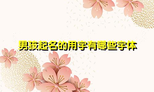 男孩起名的用字有哪些字体