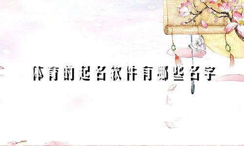 体育的起名软件有哪些名字