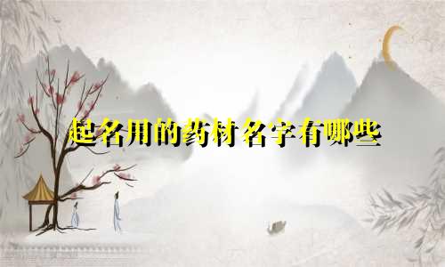 起名用的药材名字有哪些