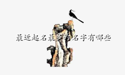 最近起名最多的名字有哪些