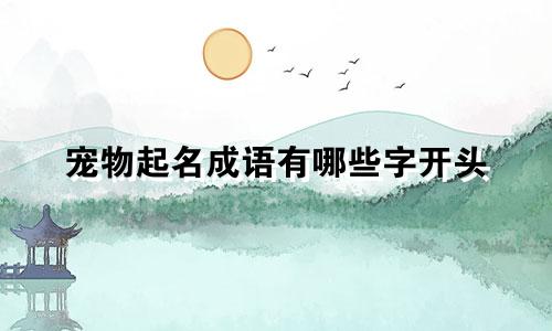 宠物起名成语有哪些字开头