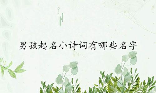 男孩起名小诗词有哪些名字