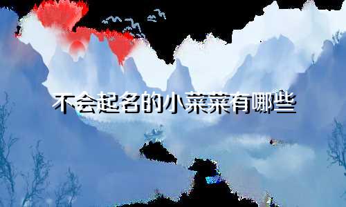不会起名的小菜菜有哪些
