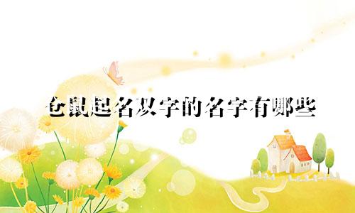 仓鼠起名双字的名字有哪些
