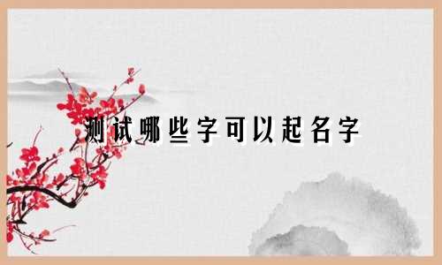 测试哪些字可以起名字