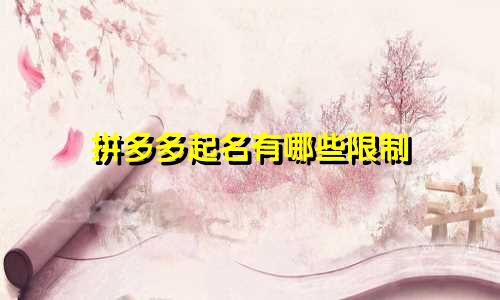拼多多起名有哪些限制