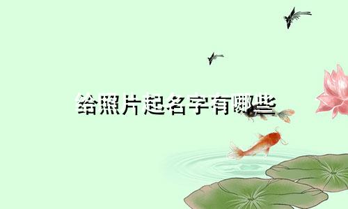 给照片起名字有哪些