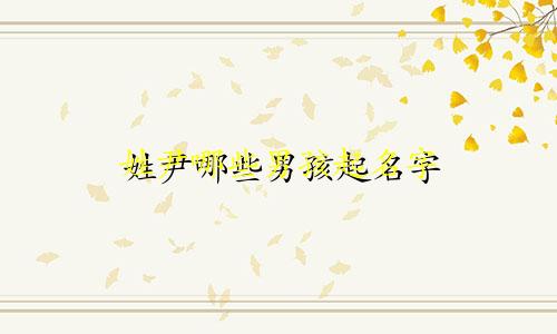 姓尹哪些男孩起名字