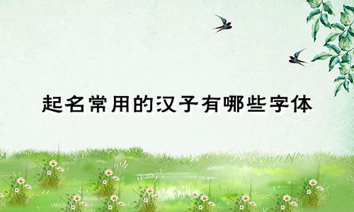 起名常用的汉子有哪些字体