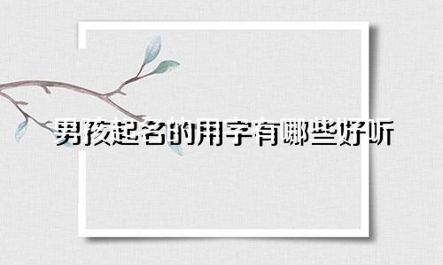 男孩起名的用字有哪些好听