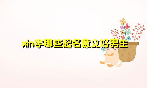 xin字哪些起名意义好男生