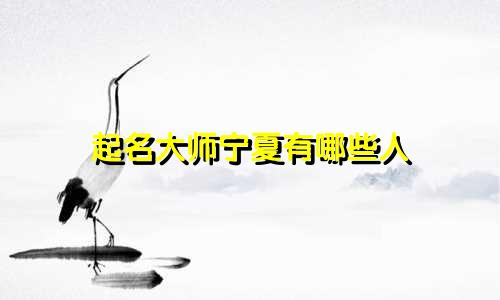 起名大师宁夏有哪些人