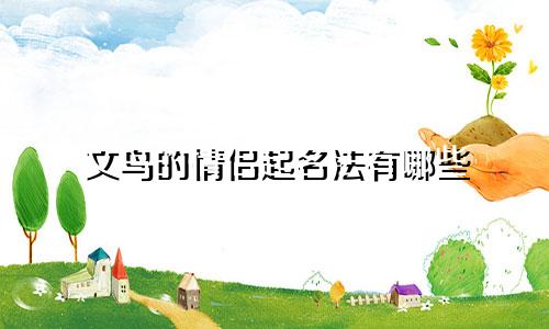 文鸟的情侣起名法有哪些