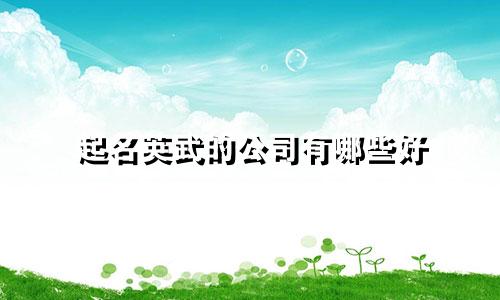 起名英武的公司有哪些好