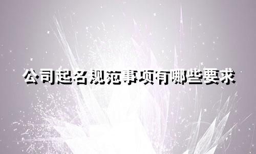 公司起名规范事项有哪些要求