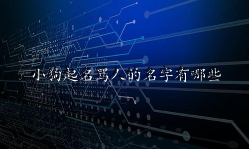 小狗起名骂人的名字有哪些