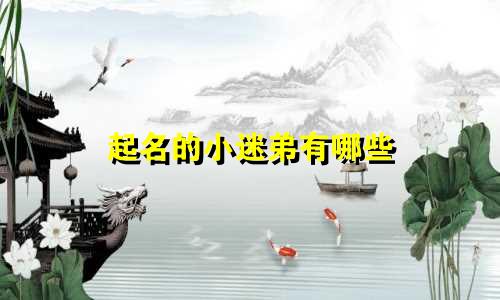起名的小迷弟有哪些