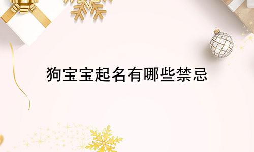 狗宝宝起名有哪些禁忌