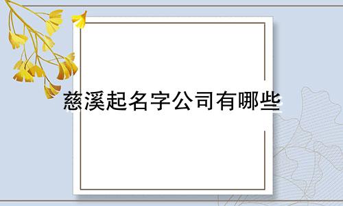 慈溪起名字公司有哪些