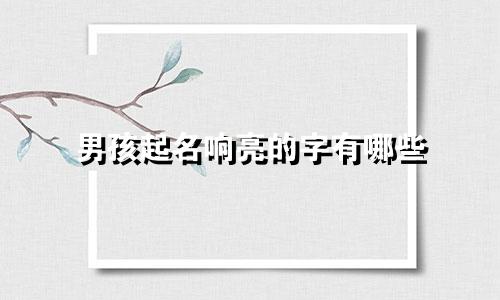 男孩起名响亮的字有哪些