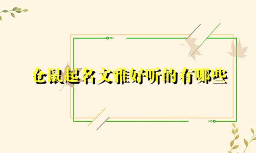仓鼠起名文雅好听的有哪些