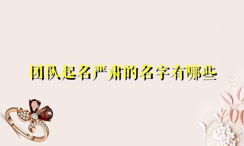 团队起名严肃的名字有哪些
